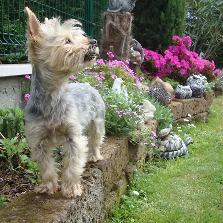 فندق مبيت وإفطار Milu' 3*