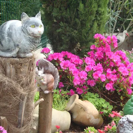 Milu' فندق مبيت وإفطار بوسولينغو