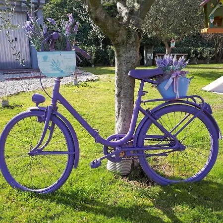 Milu' * Bussolengo
