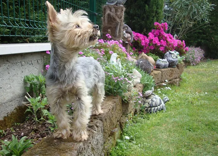 Bed & Breakfast Milu' 3*